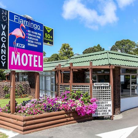 Flamingo Motel New Plymouth Ngoại thất bức ảnh